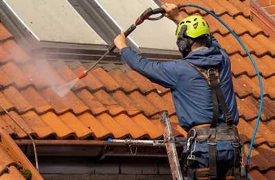 Démoussage et hydrofuge de toiture à Perrignier